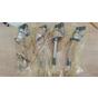 Форсунка Continental 9657144580 5 класс новая 5WS40156, 5WS40156-Z, 5WS40156-4Z, 5WS40156-6, 5WS40044, A2C59511601, 9657144580, 9657144680